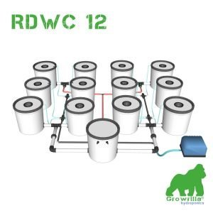 Alternative view of Hydroponic Systems RDWC 12