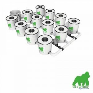 HYDROPONICS System RDWC PRO 12 POTS 3 ROWS