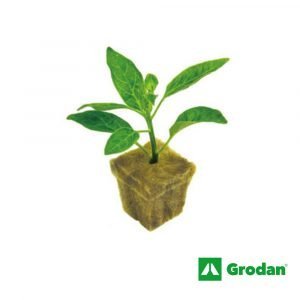 Alternative view of GRODAN -ROCKWOOL BLOCKS FOR SEEDLING AND PROPAGATION 4x4x4h cm