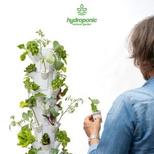 Alternative view of AEROPONICS TOWER FOR VERTICAL FARMING OF 50 PLANTS