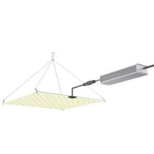 CULTILITE - QUANTUM BOARD 2.75 µmol/J - ORION 100 w