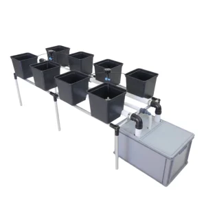 Sistema Idroponico Dutch Bucket 8 Vasi
